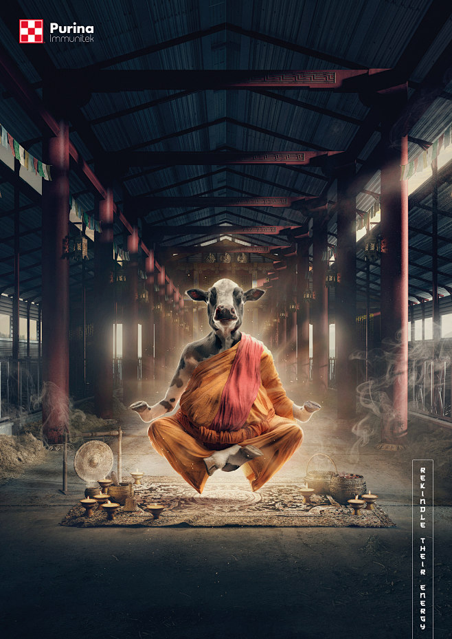 Purina - Immunitek :...