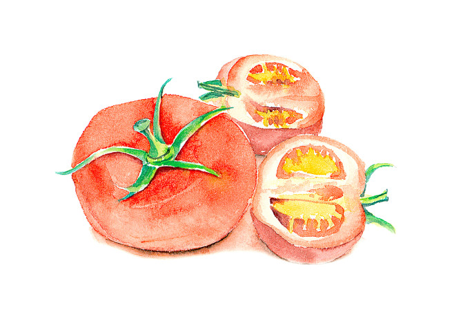 番茄-《水彩美食·你看起来很美味》