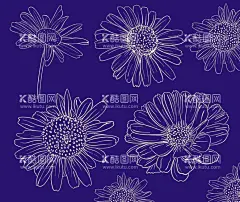 菊花线稿  - 源文件下载【酷图网】卡通雏菊素材,雏菊,雏菊海报素材,可爱,水彩,雏菊素材,图片,包装,卡通雏菊,插画,插图,素材,元素,矢量,卡通,手绘雏菊,手绘,雏菊标志,logo,简约,图案,图标,雏菊插画,儿童绘本,矢量雏菊,促销,时尚,清新,小雏菊,白花,小白花,小清新,花朵,春天素材,春天,白色,菊花,太阳花