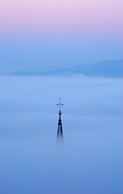 森林中采集到Photo.Scenery