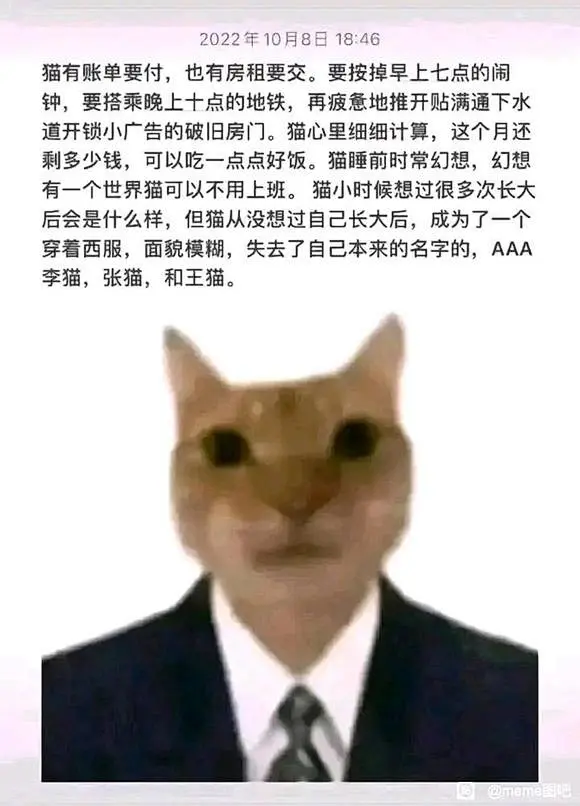 meme分享_meme图吧_百度贴吧-花瓣网