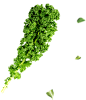 カゴメ | GREENS | 100%プレミアムスムージー : カゴメのGREENS（グリーンズ）は、野菜と果実だけのおいしさにこだわった100％プレミアムスムージー。忙しい毎日に、ちょっと嬉しい、ひとときを。「粒と色」を、召し上がれ。