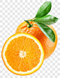 脐橙一个半产品实物PNG图片➤来自 PNG搜索网 pngss.com 免费免扣png素材下载！