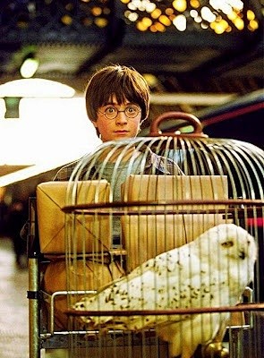 Harry and Hedwig