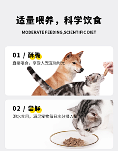 扎西兔兔采集到宠物‍⬛