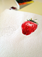 strawberry watercolor : Strawberry watercolor illustration