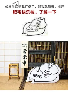 歪瓜出品肥宅抱枕恶搞创意网红表情包靠枕二次元肥宅快乐水抱枕-淘宝网