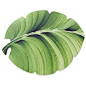 Tropical Leaf Laminated Placemat