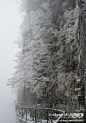 雪色天门 雾凇花开,张家界, 寂泠雨旅游攻略