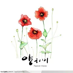 手绘水彩花朵花纹-红花扶桑图片素材下载，现在加入素材公社即可参与传素材送现金活动@北坤人素材