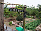 Taiwan leisure farm - Google 搜索