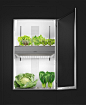 aeroponics climate concept cooking Food  future Gaggenau gardening kitchen premium