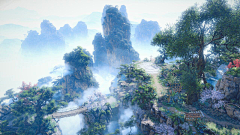 碧叶残荷采集到场景