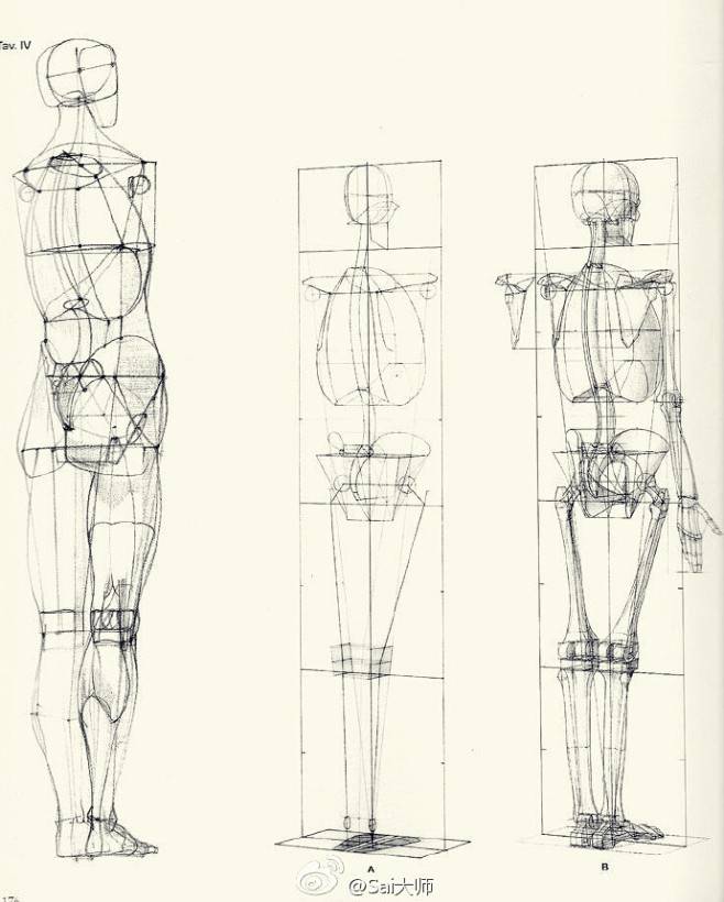 素描人体结构绘制参考，收藏练习吧！#绘画...