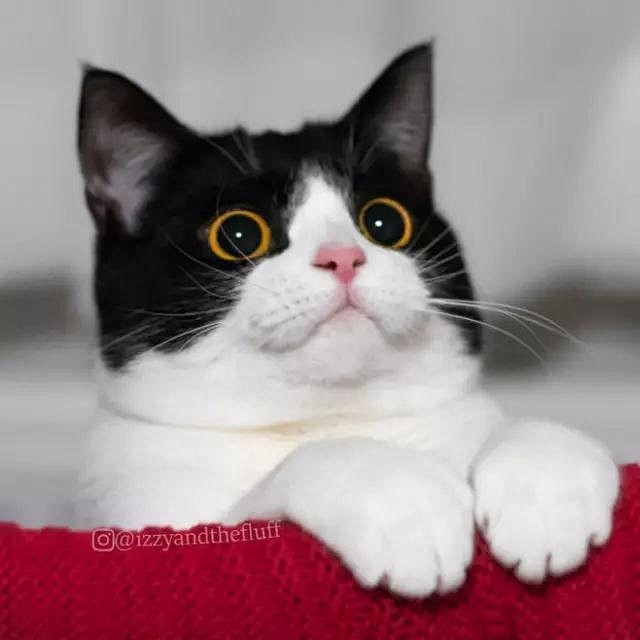 ♡现在AA制我都去不起了 

♡我发明了...