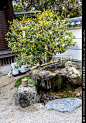 园林景观 日本京都 树木 古建筑 御手洗 园林建筑 石头石块
【参数】 16.33 MB | JPG | 3648×5472 | 240DPI | RGB