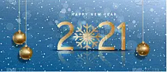 2021,牛年,新年前夕,时间,越南,符号,一月,全景,庆祝,装饰
