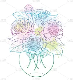 矢量花束与轮廓山茶花束，花蕾和叶子在圆形花瓶在白色的背景上孤立的淡蓝色和粉红色。