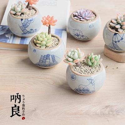 |呐良|多肉植物花盆 藤涼冰裂手绘青花盆...