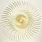 日本艺术家Yuko Nishimura的精美折纸
