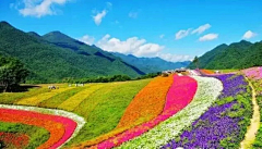 蘑菇不开花不开花采集到C花镜