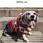 韩国itsdog宠物秋冬衣服-圣诞毛衣裙 狗狗衣服泰迪