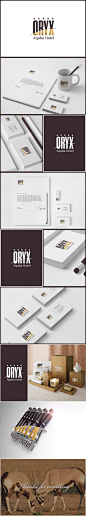 Oryx aqaba酒店品牌VI设计方案一 DESIGN³设计创意 展示详情页 设计时代