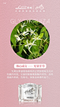   私护  壮阳   男性用品  燕窝 阿胶  酵素 早教 祛斑  茶叶 海鲜  药贴  眼贴 足贴 眼霜  瘦脸仪器  按摩椅 小程序开发 公众号 包装设计  内衣 短视频  头像  宝宝裤   聊天背景   封面   服装  线下会议  展架  PPT  喷绘  KT版  灯箱   广告  宣传手册  折页 腰线   产品拍摄   详情页  淘宝主图  H5  官网搭建  发圈文案  品牌故事  微商美工  短视频 微商 设计  海报 包月 文案 用心 品牌 选择 宣传