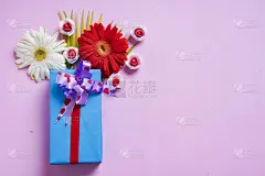 边框,白昼,概念,留白,粉色背景,妇女问题,玫瑰,周年纪念,贺卡,清新