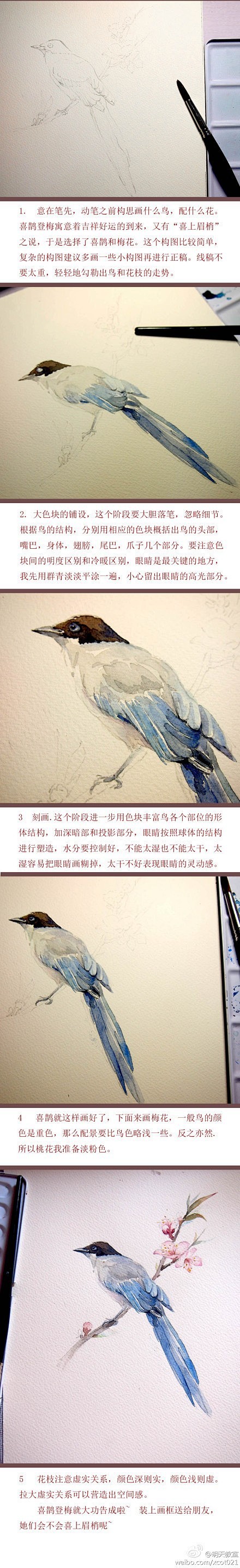 手绘水彩花鸟教程