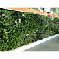 绿雅仿真植物花墙材料 篱笆网 绿篱网 绿墙 草墙工程装饰定做批发-淘宝网