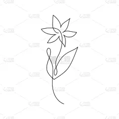 连续性,动物手,线条,可爱的,请柬,信函,直的,郁金香,绘制,爱