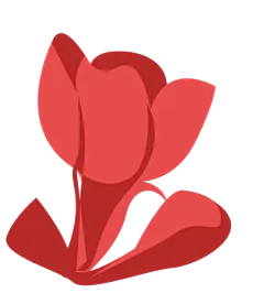 中国城市扁平风插画-石榴花