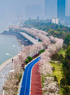 樱飞漫天采集到场景