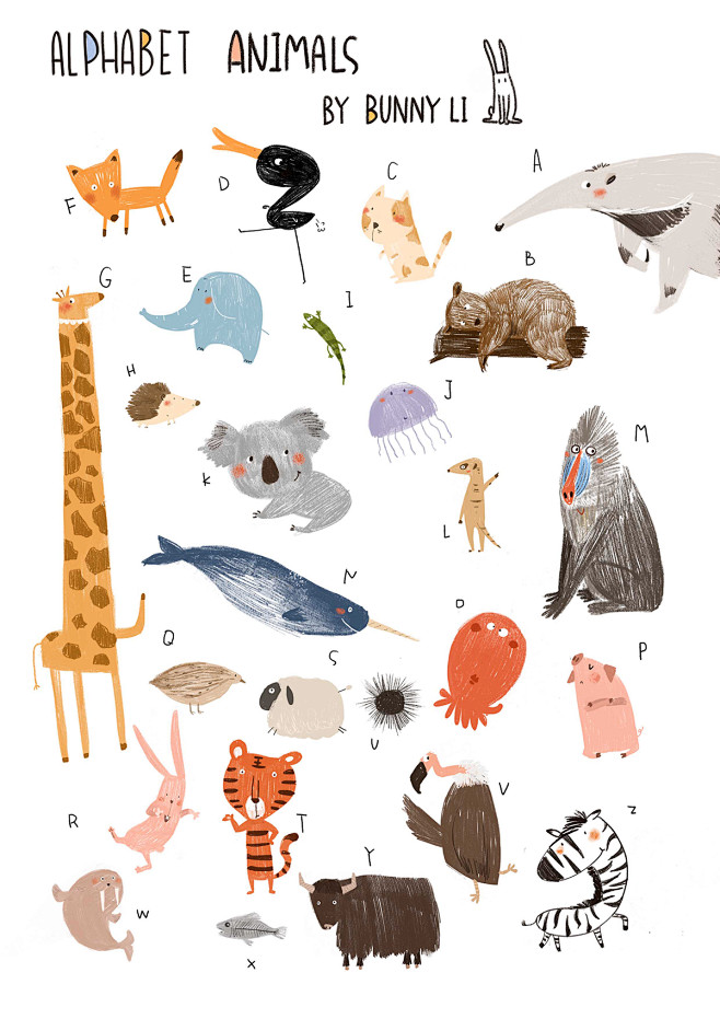 Alphabet Animal : pr...