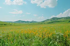 辽阔的阳光草原高清图片