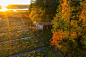 Lammassaari Boardwalk by Nomaji « Landscape Architecture Platform | Landezine