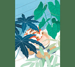 Novel illustration s...