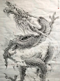 游龙绘画 - 小红书
