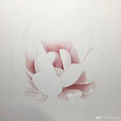 黛比多肉！！
红红粉粉很应景！
MM们节日快乐
via@LOHAS_乐 ​​​​