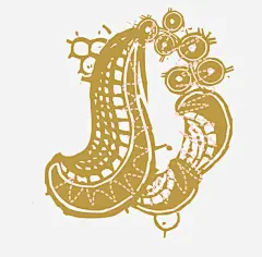 刺绣花纹图标高清素材 t恤 丝印 个性 休闲 刺绣 十字绣 卡通 印刷 印花 图标 复古 字母 底纹 底纹边 徽章 插画 数字 服装 条纹线条 欧式花纹 残缺 烫画 烫钻 经典 网点 花 花纹 装饰图 边框 运动 酷 闪石 免抠png 设计图片 免费下载