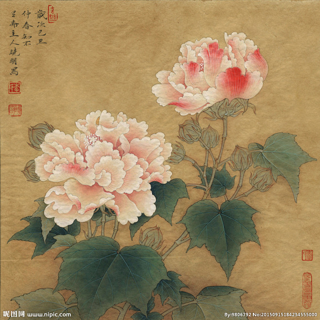 古风类花鸟工笔画临宋红芙蓉图