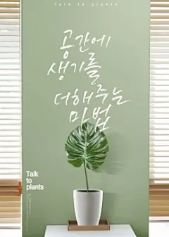 龟背竹叶绿色环保家居空间海报
