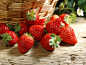 『 夏季草莓… 』