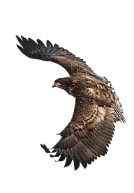 伪/橙光 溶图素材