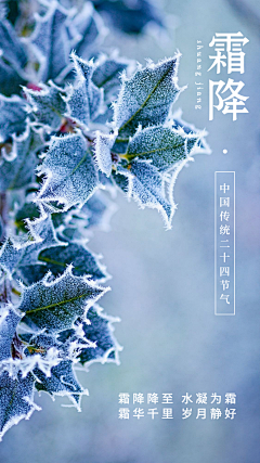 冬日朝阳采集到节日素材