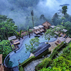 耶博小可爱biu~采集到Landscape丨专项/泳池泡池