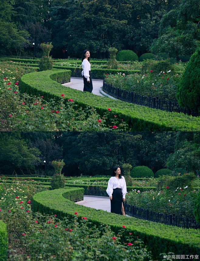 组图：好美！高圆圆白衬衫配包臀裙徜徉花园...