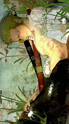 索隆和山治壁纸的 搜索结果_360图片