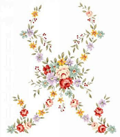 一噹噹采集到插画 花朵